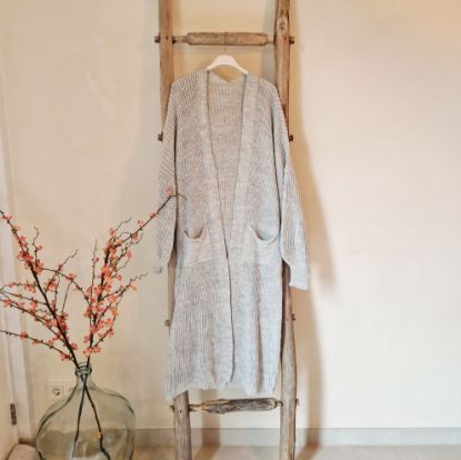 Afbeeldingen van Lang vest grijs