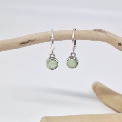 Afbeeldingen van Mara kiwi