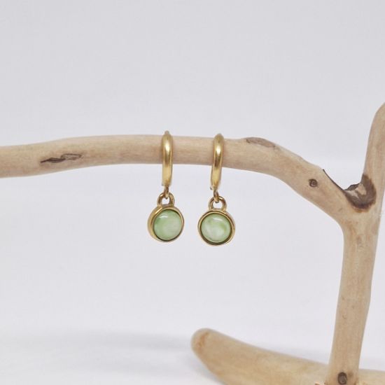 Afbeeldingen van Mara kiwi