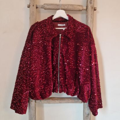 Afbeeldingen van Fluwelen jasje met pailletten rood
